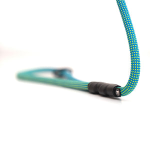 Close-up of carabiner on Norte blue dog leash