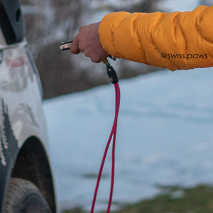 Customer @swiss.paws using Tuenne lanyard with car key attached, shown in everyday use