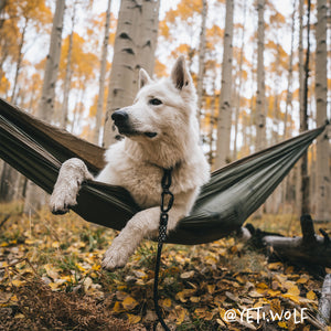 Adjustable slip dog collar made from climbing rope – Small Norte by Tuenne - on Yeti Wolf