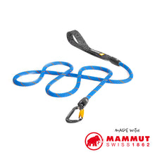 Blue climbing rope leash flat lay