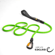 Neon Green climbing rope leash flat lay