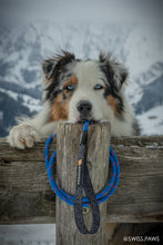 Dog with blue custom rope leash on a mountain