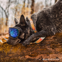 Tuenne Southwest dog collar with original sublimated artwork and Duraflex buckle on cool dog