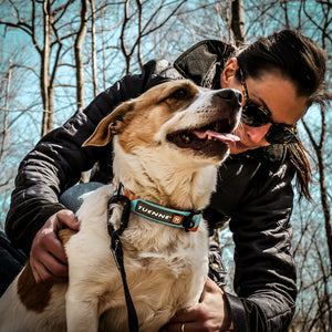 Tuenne Southwest dog collar and leash with original sublimated artwork and Duraflex buckle