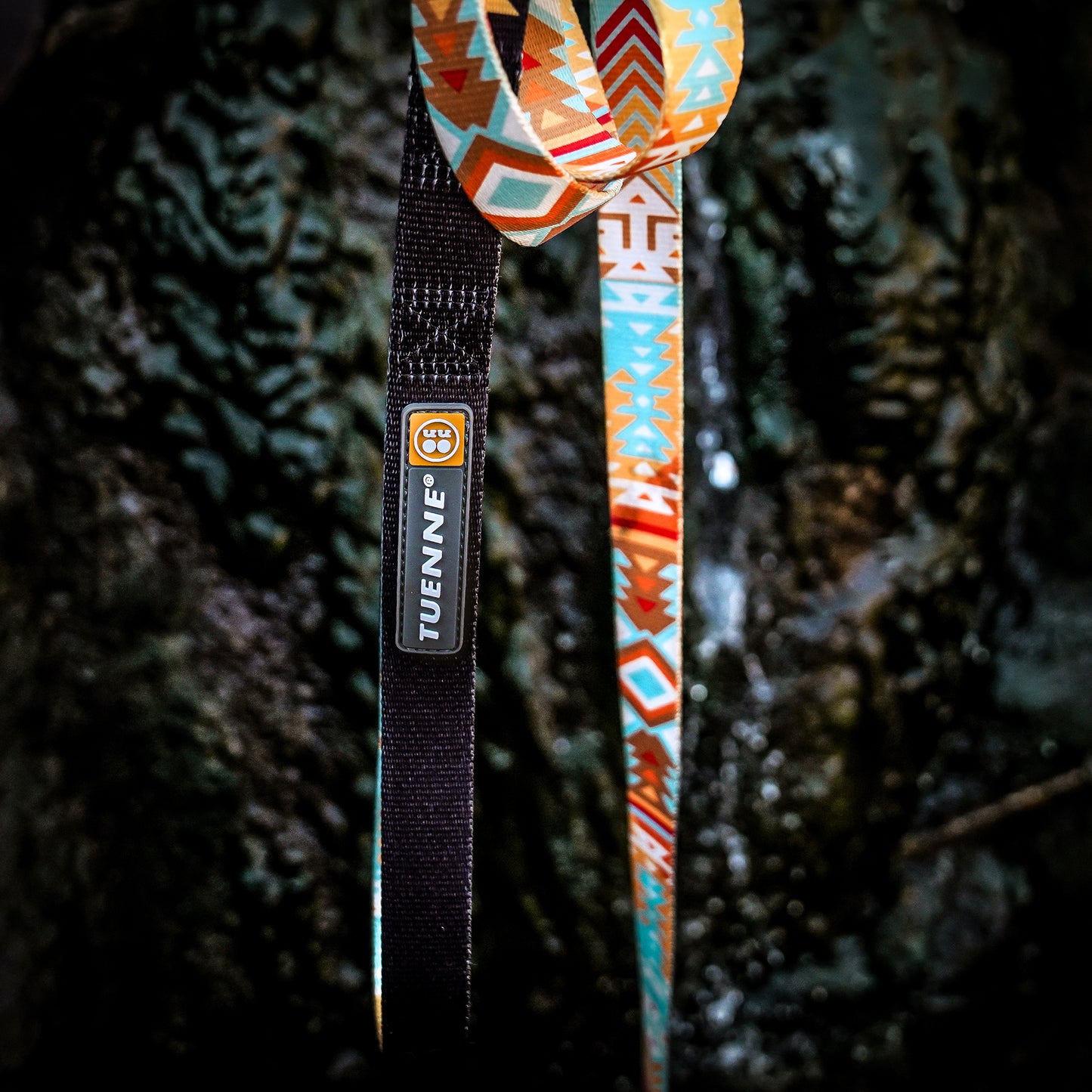Tuenne Southwest Dream V2 dog leash with original artwork and auto-locking carabiner