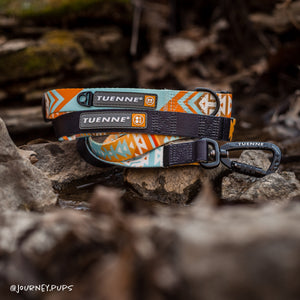 Tuenne Southwest Dream leash with high-quality auto-locking carabiner