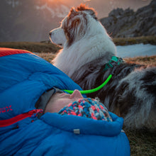 Dog wearing Tuenne Xeros Neon Green leash in mountain terrain