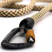 Boulder Hybrid Leash