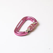 pink locking carabiner dog leash