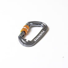 gray locking carabiner dog leash