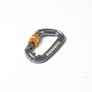 gray locking carabiner dog leash