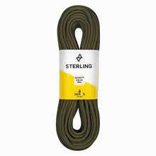 Norte Leash