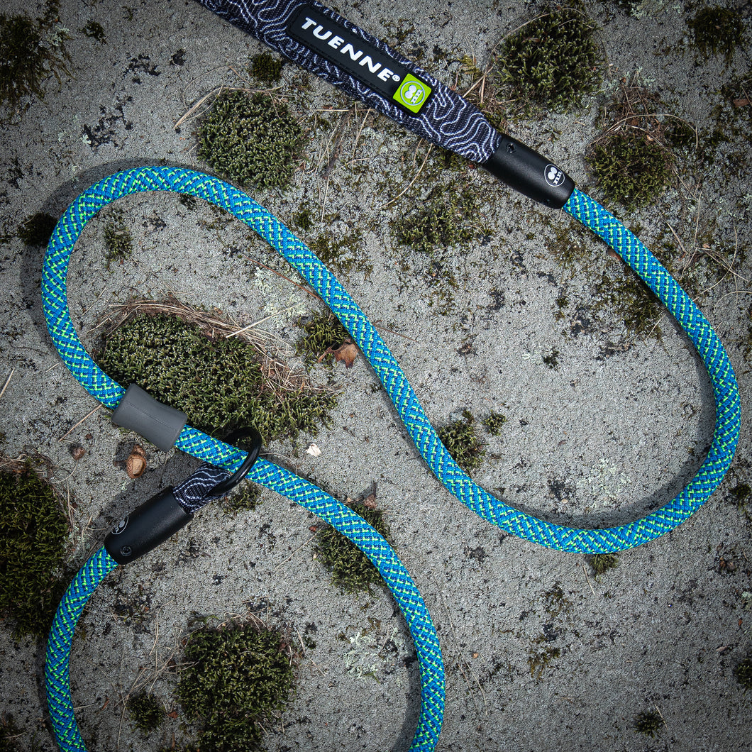 Tuenne dog leash outlet