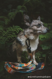 southwest pattern dog leash dog collar