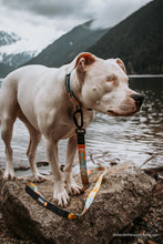 southwest pattern dog leash dog collar