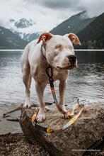 southwest pattern dog leash dog collar