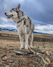 southwest print dog leash and collar